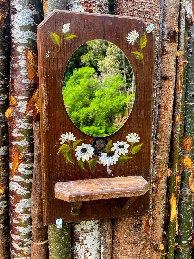 Hotel Glamping In The Redwoods With A Hot Tub! Garberville Exterior foto